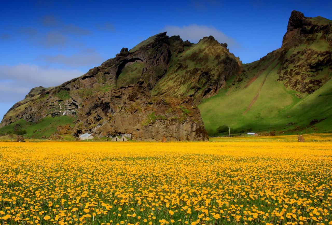 Cozy Cottage By Stay In Iceland ハヴォルスヴォルール 部屋 写真